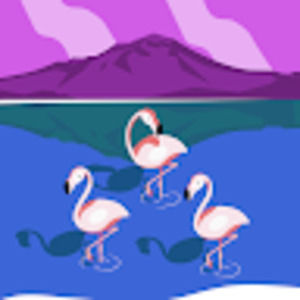 Meet your Posher, Charlotte